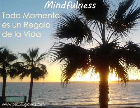 mindfulness pleno