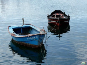 barcas