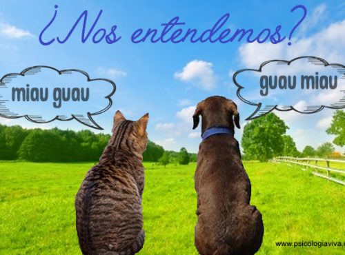 comunicacion en pareja