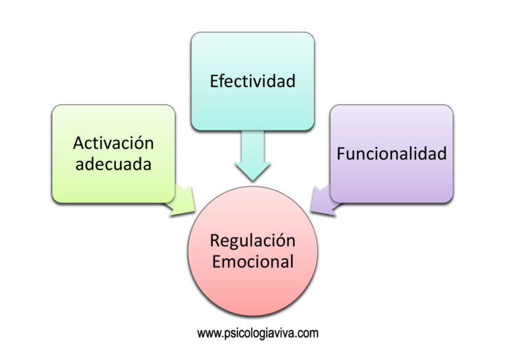 Maneras de Regulación Emocional | Viva y Coleando